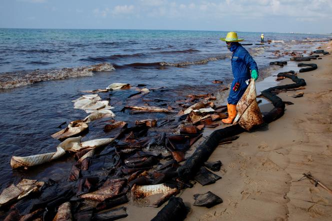 Plama ropy zaleje plaże i zniszczy rafy koralowe? Katastrofa ekologiczna w znanym kurorcie