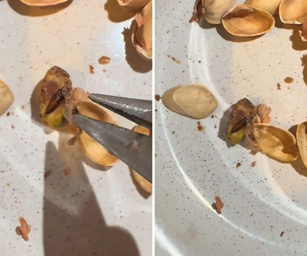 Znalazł robaka w pistacjach popularnej marki. „Przepraszam, ale ja bym wolał wiedzieć” 