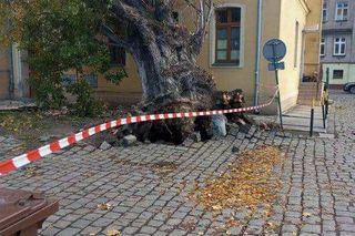 Polska pod naporem wichur! Strażacy nie mieli chwili wytchnienia