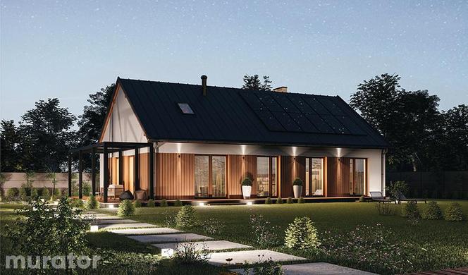 Projekt A117a/1 Dom Wiktorii A pa i inne warianty projektu z rodziny A117
