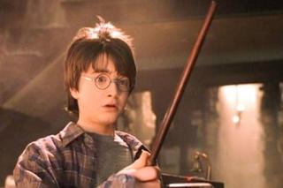 Harry Potter QUIZ — Różdżka, którego czarodzieja pasuje do ciebie najbardziej? 