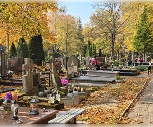 Wszystkich Świętych - Archidiecezja Warmińska