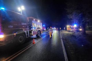 Śmiertelny wypadek pod Zgorzelcem. Kierujący osobówką zginął, dziecko zostało ranne [ZDJĘCIA]