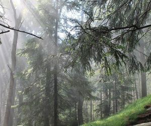 Błędne Skały to polska wersja Bryce Canyon. Są zaledwie kilka godzin od Wrocławia