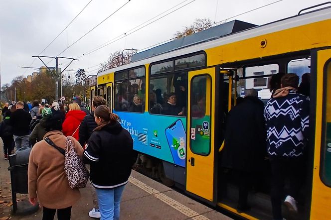 1 listopada na Cmentarzu Centralnym w Szczecinie