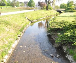 Bulwary nad Silnicą