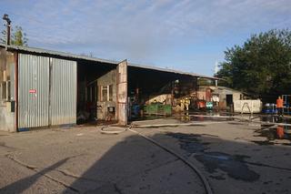 Potężny pożar hali magazynowej w Lublinie. Paliły się trujące substancje [ZDJĘCIA] 