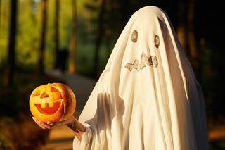 Jak zrobić strój na Halloween dla dziecka? Te przebrania DIY zrobią furorę
