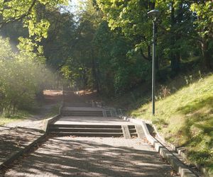 Ta uliczka w Olsztynie zachwyca o każdej porze roku. Zobacz, jak prezentuje się jesienią [ZDJĘCIA]