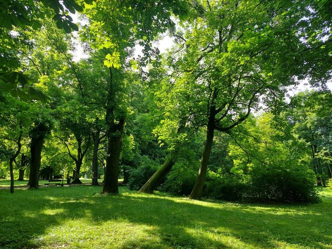 Park Miejski w Zamościu