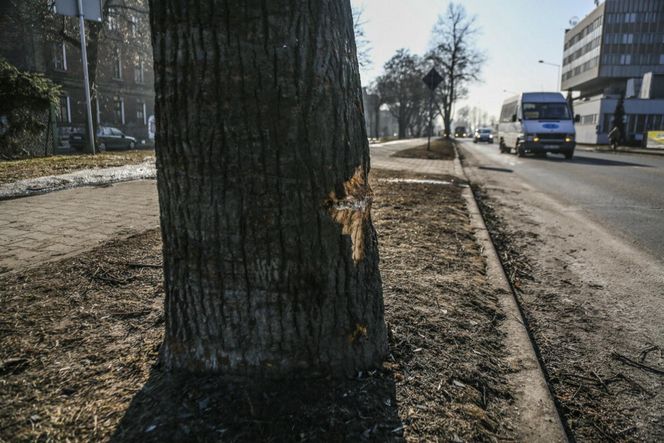 Wypadek Beaty Szydło 