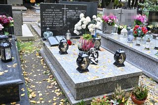 Elżbieta Zającówna