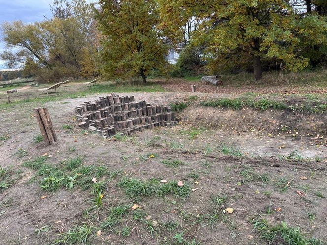 Serenity Park w Mysłowicach to nowe miejsce wypoczynku na Śląsku