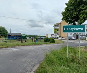 Postawili majowe drzewko. Impreza integracyjna w Henrykowie koło Leszna