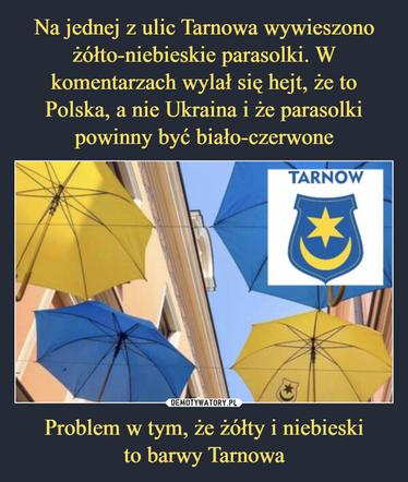 Najlepsze memy internautów o Tarnowie