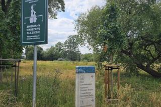 Kładka pieszo-rowerowa nad Kanałem Portowym w Warszawie