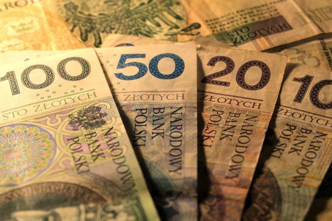 ZUS przyznaje mniej rent. Ekspert wyjaśnia, dlaczego tak się dzieje. Znamy powody