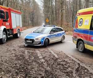 Skoda z dwiema osobami w środku uderzyła w drzewo. 4-letnie dziecko trafiło do szpitala
