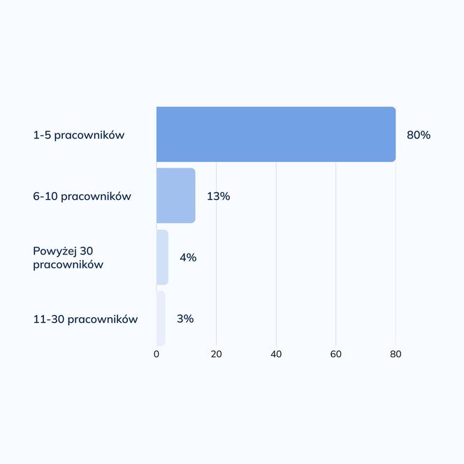 Raport branży remontowo-budowlanej 2025