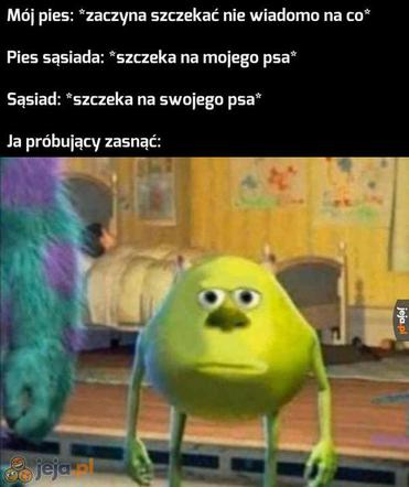 Dzień Psa 2026. Te memy pisało samo życie!