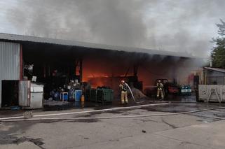 Potężny pożar hali magazynowej w Lublinie. Paliły się trujące substancje [ZDJĘCIA] 