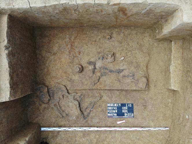 Niezwykłe znalezisko na budowie S19 „Via Carpthia”. Archeologowie pracują na miejscu 