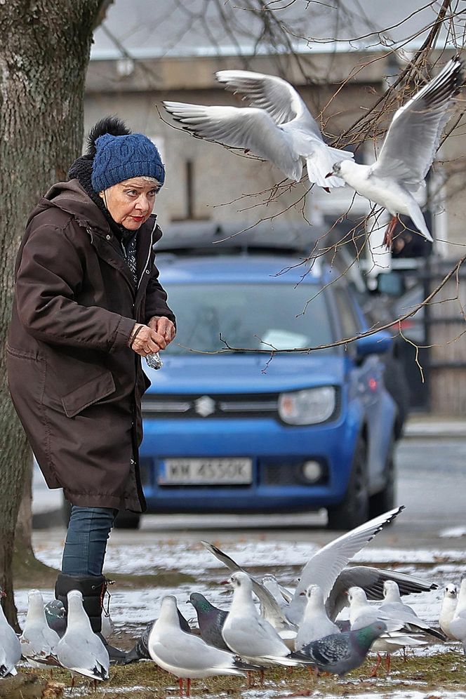 Anna Chodakowska. Gwiazda "Labiryntu" wśród ptaków