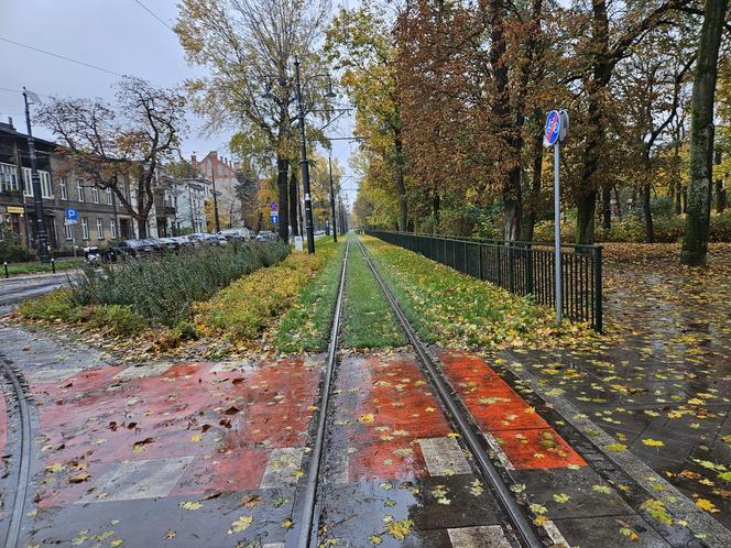 "Czarna szyna" to niepokojące zjawisko. Alarm dla mieszkańców Torunia
