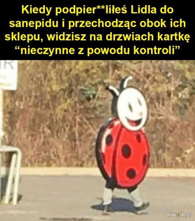 Zacięta walka Biedronki i Lidla trwa. Memy o dyskontach zalały internet. Pękniesz ze śmiechu!