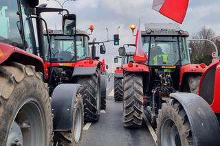 Protest rolników w Lublinie [GALERIA, WIDEO]