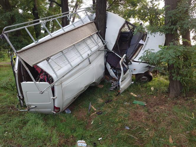 Bus owinął się wokół drzewa, kierowca po alkoholu. Poranny wypadek koło Leszna