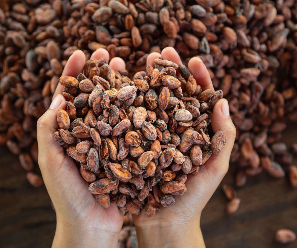Zdrowsze serce i mniej stanów zapalnych? Poznaj moc ekstraktu z kakao