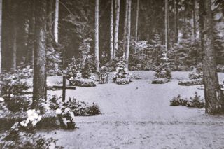 Olsztyńskie cmentarze na dawnych zdjęciach. Tak nekropolie wyglądały ponad 100 lat temu