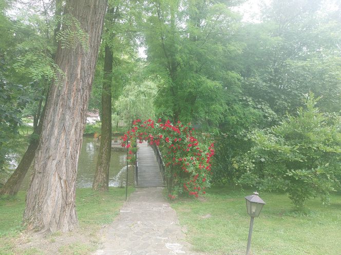 Zamek Dubiecko