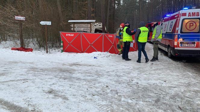 Śmiertelny wypadek w Lidzbarku. Bus uderzył w drzewo. Nie żyje młoda kobieta