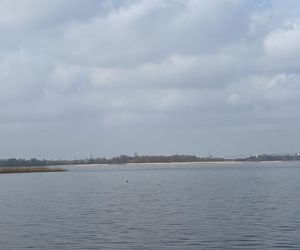 Jezioro Dąbie