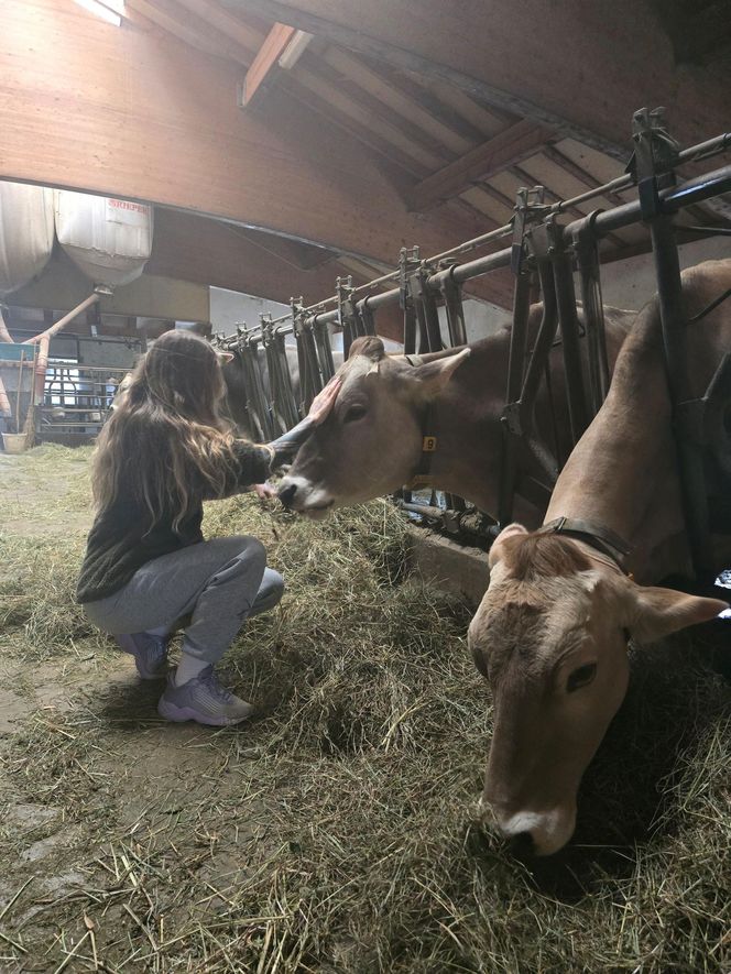 Roter Hahn: Nowoczesna agroturystyka zamiast hotelu – tu bije prawdziwe serce Południowego Tyrolu