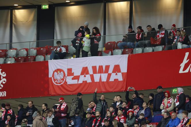 Kibice na meczu Polska - Estonia. Zdjęcia z trybun [21.03.2024]