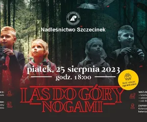 Leśnicy zapraszają do lasu do góry nogami 