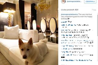 Mieszkanie Joanny Przetakiewicz