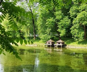 Park Miejski w Zamościu