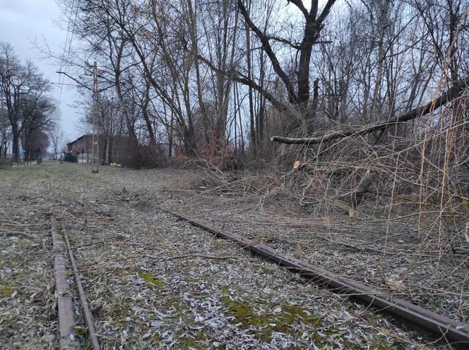 Opuszczona linia tramwajowa do Walcowni