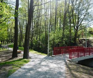 Tak wygląda park w dolinie Ślepiotki w Katowicach