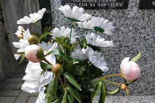 Pogrzeb Karoliny Bojarskiej w sobotnie popołudnie. Tarnowianka spocznie obok Agaty Mróz