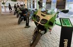 Festiwal Green Days Kawasaki