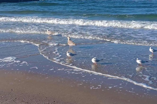 Kołobrzeg po sezonie