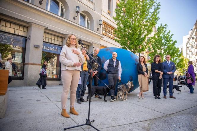 Instalacja “Pisklę. Drozd śpiewak”