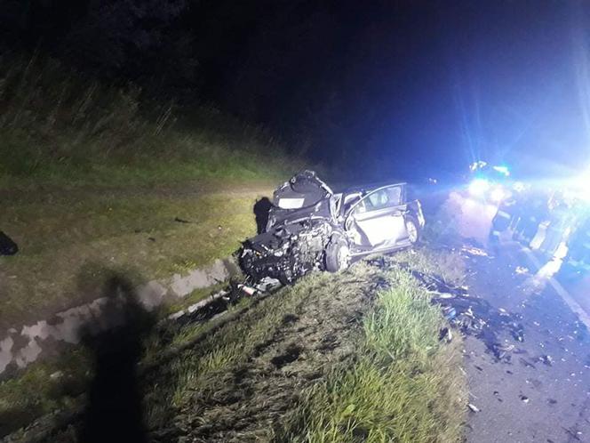 Jeleń doprowadził do tragedii w Małopolsce
