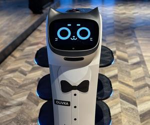 Roboty z Gdańska robią furorę wśród klientów restauracji. Kelnerzy na początku się ich bali [ZDJĘCIA]