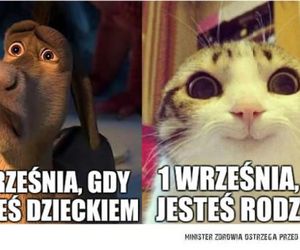 MEMY na rozpoczęcie roku szkolnego 2025/2026